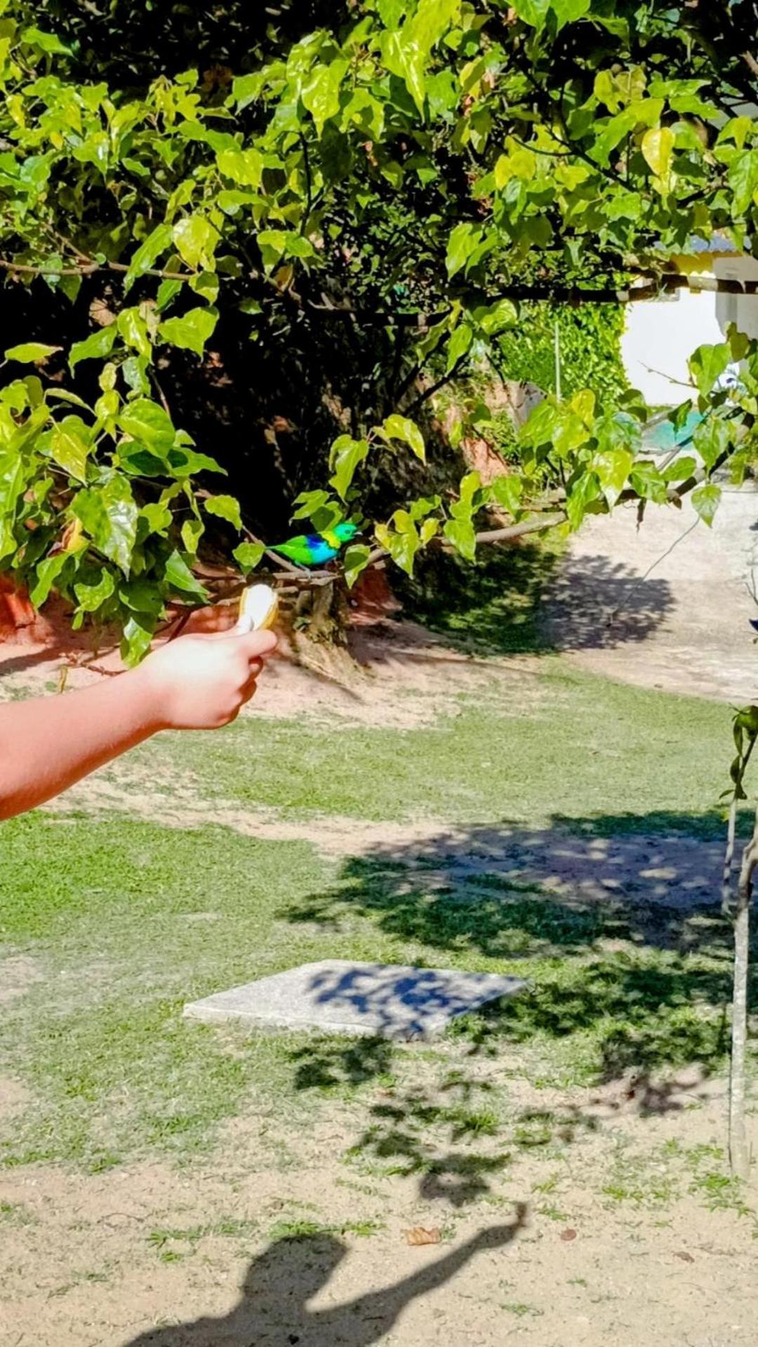 סאנה Pousada Casa Da Montanha מראה חיצוני תמונה